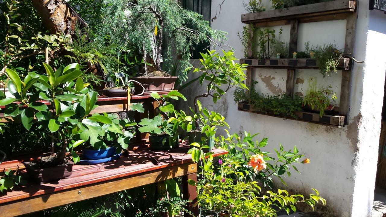 Casa Coimbra Hotel Ngoại thất bức ảnh