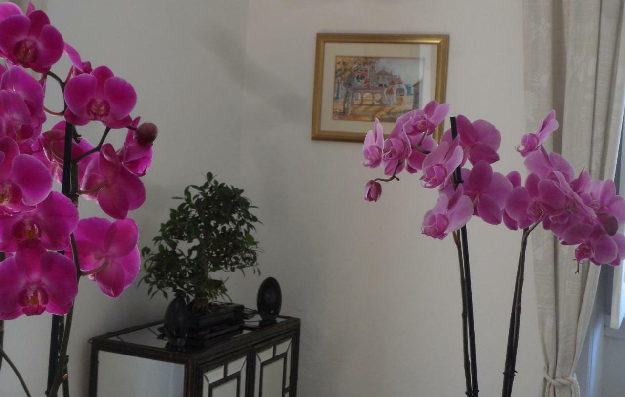 Casa Coimbra Hotel Ngoại thất bức ảnh